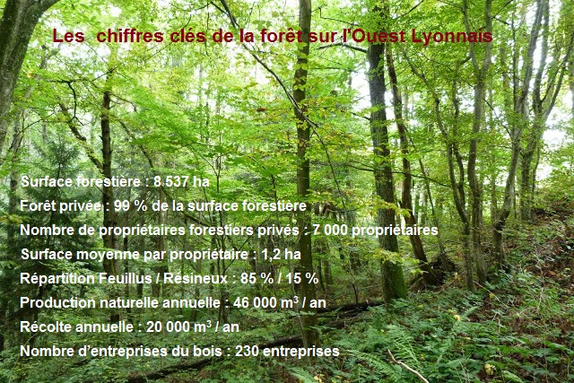 Une forêt multifonctionnelle sur l'Ouest Lyonnais