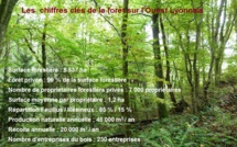 Une forêt multifonctionnelle sur l'Ouest Lyonnais